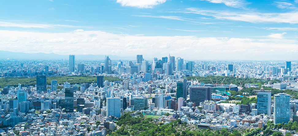 Our Services & Solutions