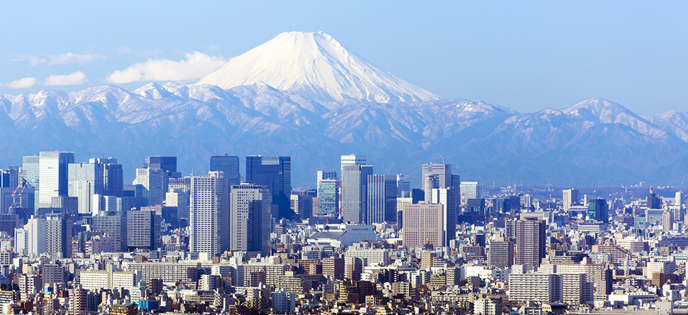 Our Services & Solutions